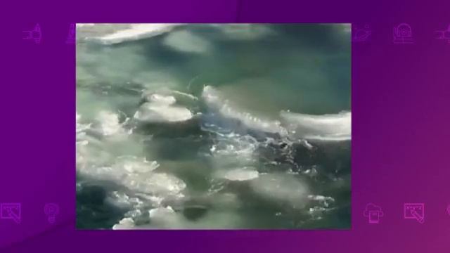 География. 8 класс. Гидрологический режим рек /04.12.2020/ смотреть онлайн