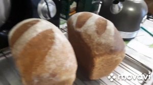 Хлеб из цельнозерновой муки.#хлеб#цельнозерновая#мука#духовка#