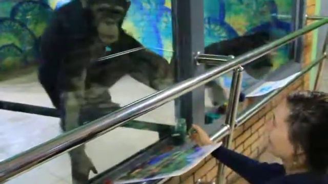 MVI 1413 смотреть онлайн