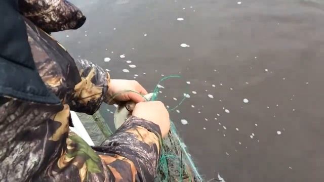 Щучка спасена! смотреть онлайн