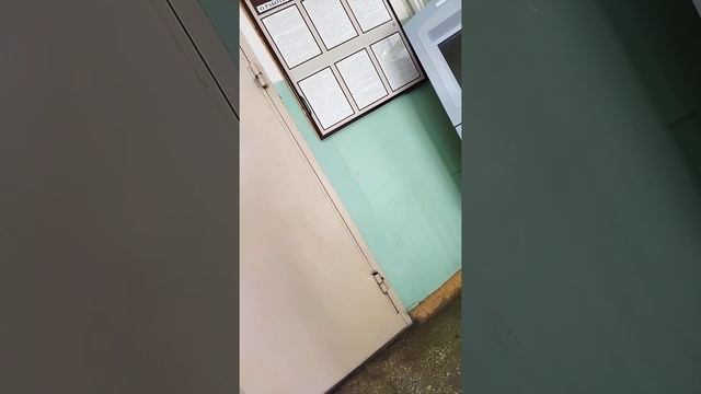 Председатель суда не решил со мной встречаться. смотреть онлайн