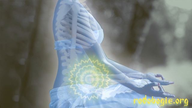 И.А. Глоба - 74 - Движение праны в организме при дыхании. смотреть онлайн