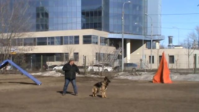 Антенор Хоф Вита смотреть онлайн