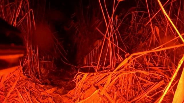 Ночная подводная охота декабрь 2022 р.Челбас смотреть онлайн