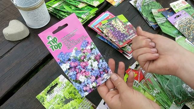 Что можно посеять в июне / Какие цветы и овощи посеять в июне смотреть онлайн
