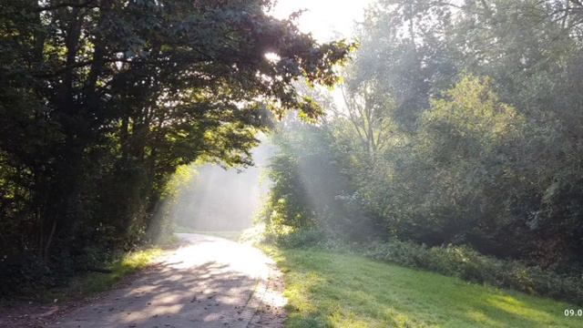 Учим Нидерландский на фоне. Слова 2.1. Внешний вид смотреть онлайн