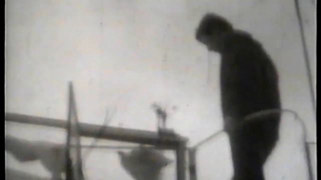 АЭРОДРОМ ДОСААФ ХАБАРОВСК, БУДНИ 70-х. смотреть онлайн