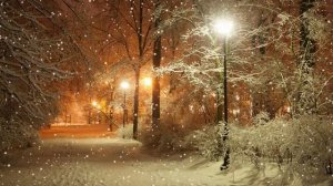 Зима. Парк. Вечер. Снег - Футажи. Футажи для видеомонтажа бесплатно в Full HD(1080p) качестве