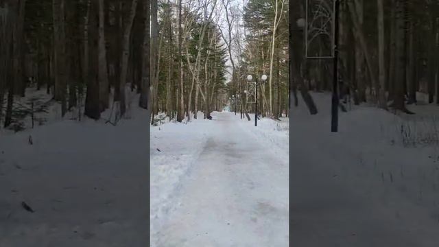 Босиком по снегу'22❄Парк. смотреть онлайн