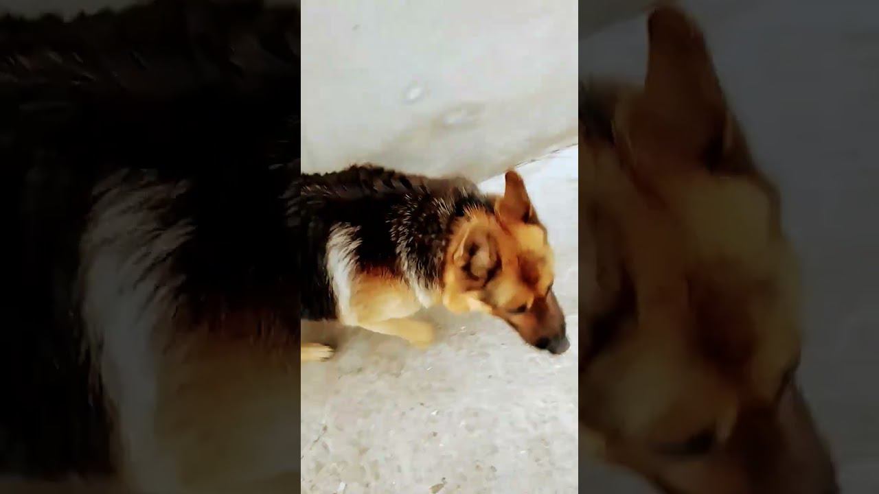 10 мая 2024 г. смотреть онлайн