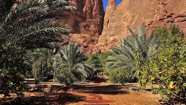 15 MOST BEAUTIFUL Oases смотреть онлайн