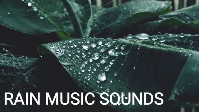 Relaxing Music & Rain Sounds- Sleep Music. For You and Me. смотреть онлайн