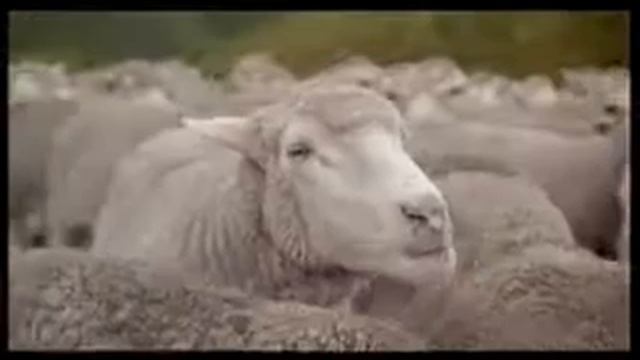 Реклама на Toyota Yaris