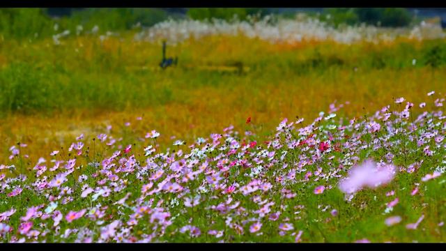 Beautiful Meditation Music With Sounds Of Nature~красивая музыка для медитации со звуками природы~
