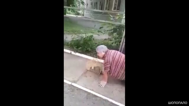Пенсионерка из Пермского края ползком добиралась до магазина смотреть онлайн