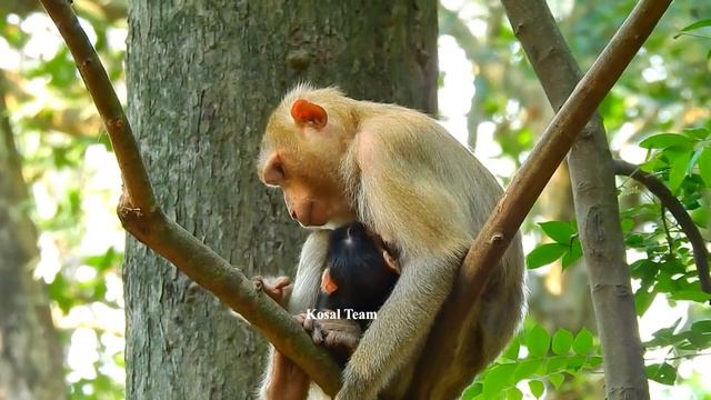 Katrina really scared some Amber group her bum mum stays at old building mum is crying and cared смотреть онлайн