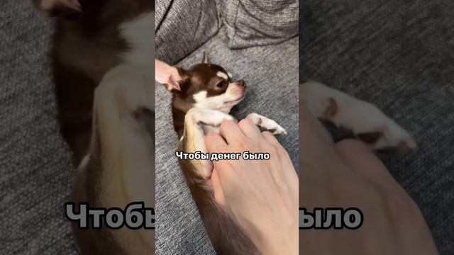 Совет эксперта...