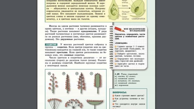 Биология (Л.Н.Сухорукова) 5-6к §46 Половое размножение цветковых растений смотреть онлайн