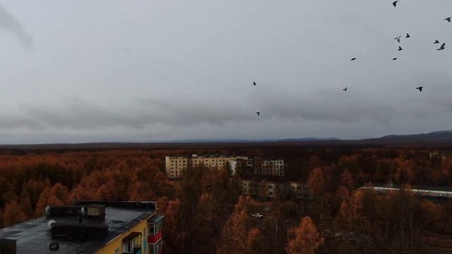 Магаданская обл. посёлок Стекольный Сентябрь 2023г смотреть онлайн