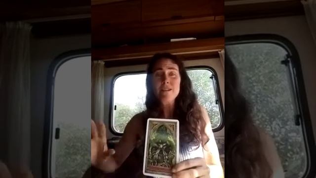 Tree Oracle Reading смотреть онлайн