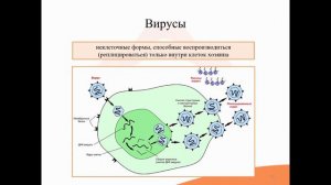 36. Общие принципы химиотерапии