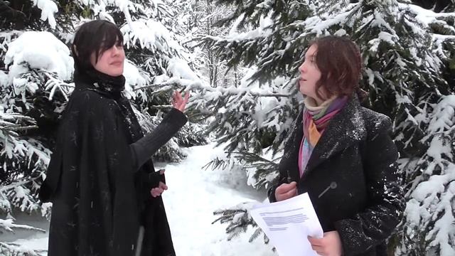 Christmas elfs and Assassin's Creed music. HD смотреть онлайн