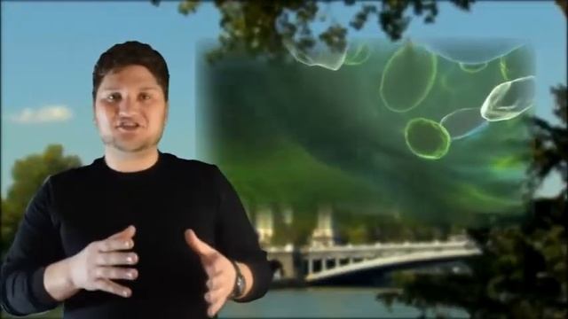 ЕСТЕСТВОЗНАНИЕ 6 КЛАСС ТРАНСПОРТ ПИТАТЕЛЬНЫХ ВЕЩЕСТВ смотреть онлайн