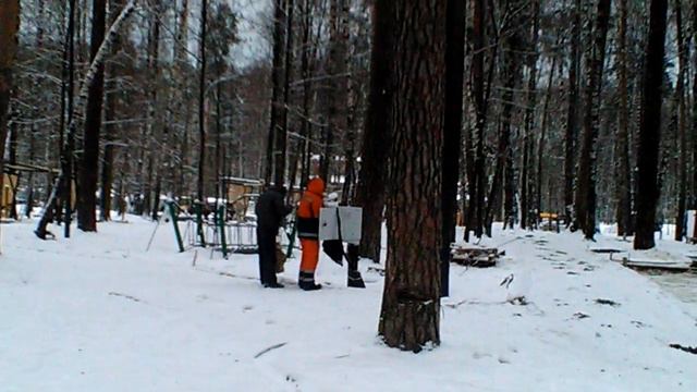 Балашиха. Центральный парк. 7 декабря 2017г. смотреть онлайн