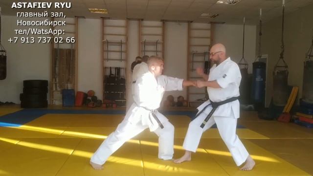 Kyoukushin Sanbon Kumite, Kyokushin Budokai Kan, Astafiev Ryu, Honbu Novosibirsk