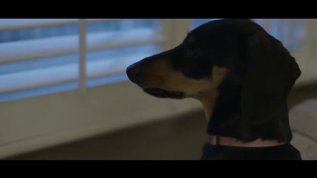 Sound recognition empowers the intelligent home to react to what is happening around it смотреть онлайн