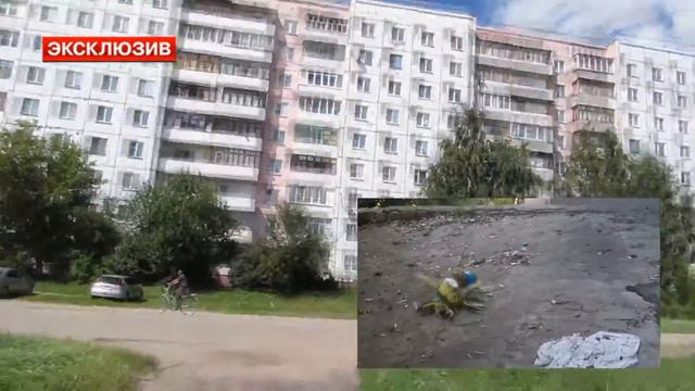 Дом Mamixa спалили...теперь он переедет в другой город( смотреть онлайн