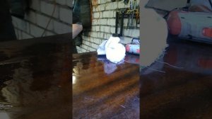 Снятие и разборка бензонасоса приора