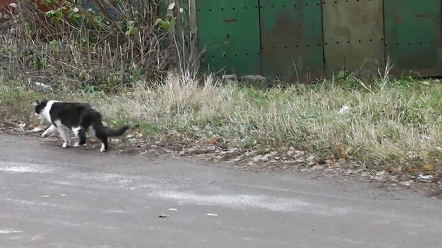 Им надо помочь смотреть онлайн