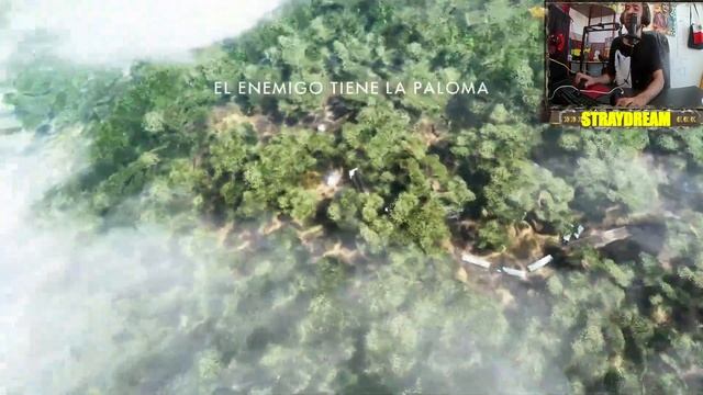 BATTLEFIELD 1 BOSQUE DE ARGONNE PALOMAS DE GUERRA смотреть онлайн