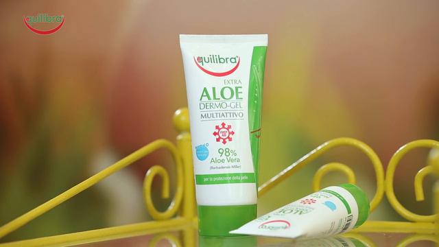 Giulia Arena ci presenta Equilibra - Aloe Dermo-gel MULTIATTIVO смотреть онлайн