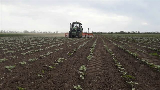 Междурядный (прополочный) культиватор с системой автоматического ведения по рядкам CHOPSTAR Einboec смотреть онлайн