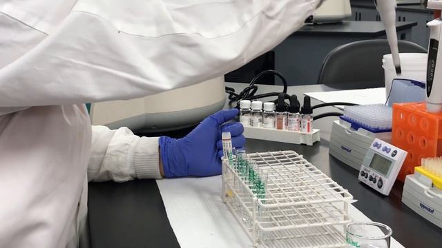 Procédure titrage d'anticorps de type IgG-Dilution mère смотреть онлайн