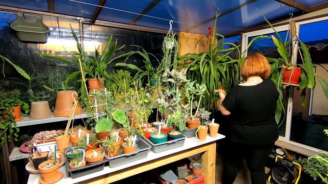 JE RENTRE MES PLANTES DANS LA SERRE avec JORGE ? Grosses rigolades et du travail en perspective ??? смотреть онлайн