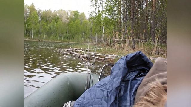 ЩУКИ, УРА!!!!! ОТЛИЧНЫЙ УЛОВ!!! Рыбалка на лесном озере в Карелии. смотреть онлайн