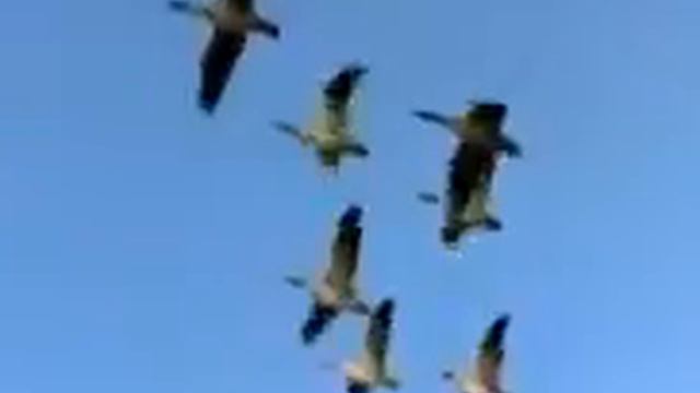 Сергей Маховиков Золотая река детства смотреть онлайн