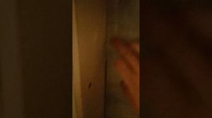 Укладываю ламинат на стену из гипсокартона. День второй