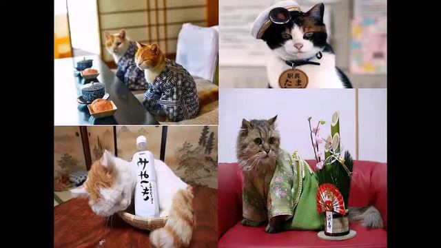 Кошки смотреть онлайн