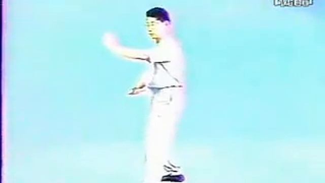 八卦掌用法.багуа чжан,способы применения смотреть онлайн