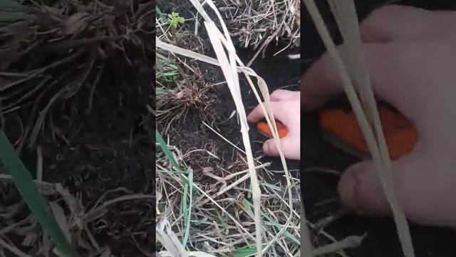 Старый крестик( штурвал) смотреть онлайн