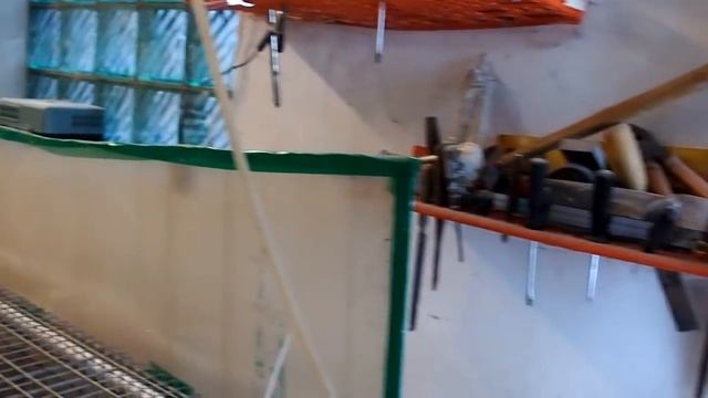 Калифорнийский кролик.Это очень важно!Зимнее выживание. смотреть онлайн