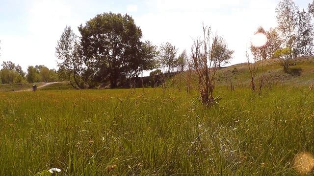 Почему нельзя уводить женщину, даже если она просит об этом?