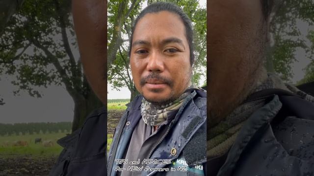 NZ Dairy Farming | A simple advice based on my own experiences смотреть онлайн