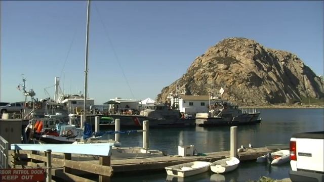 SEA OTTER TAGGING: MORRO BAY, CA смотреть онлайн