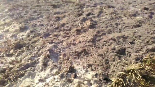Поднимаем уровень земли на огороде смотреть онлайн