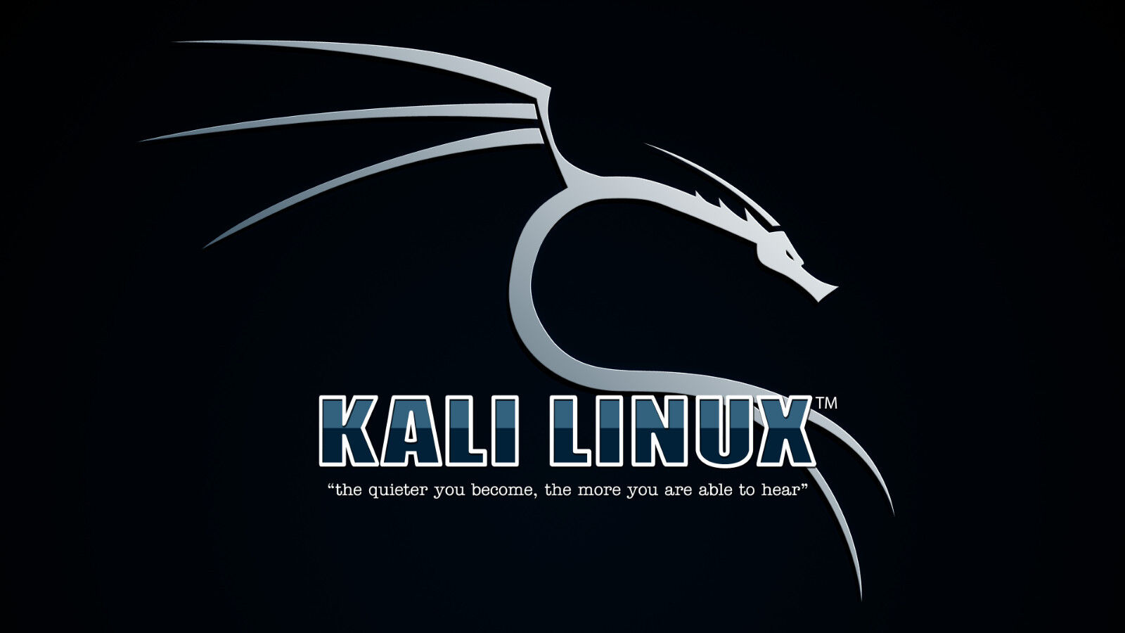 Урок 63 Интерфейс Wireshark (Kali Linux полный курс) смотреть онлайн